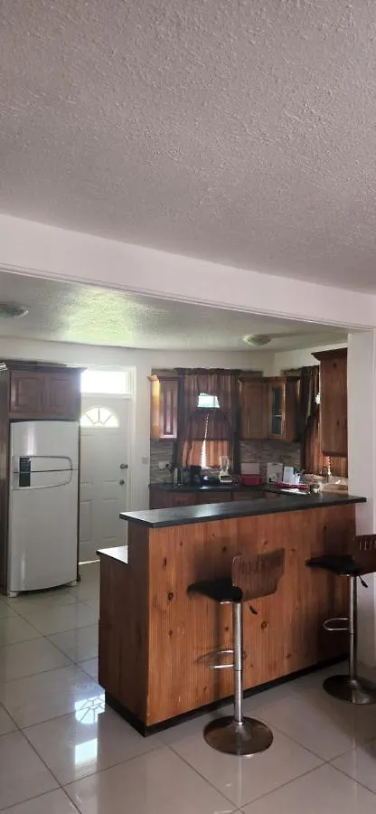 Vacation Home Roseau Holiday home