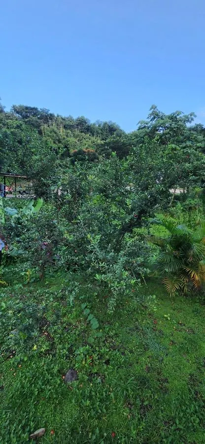 Holiday home Vacation Home Roseau Dominica