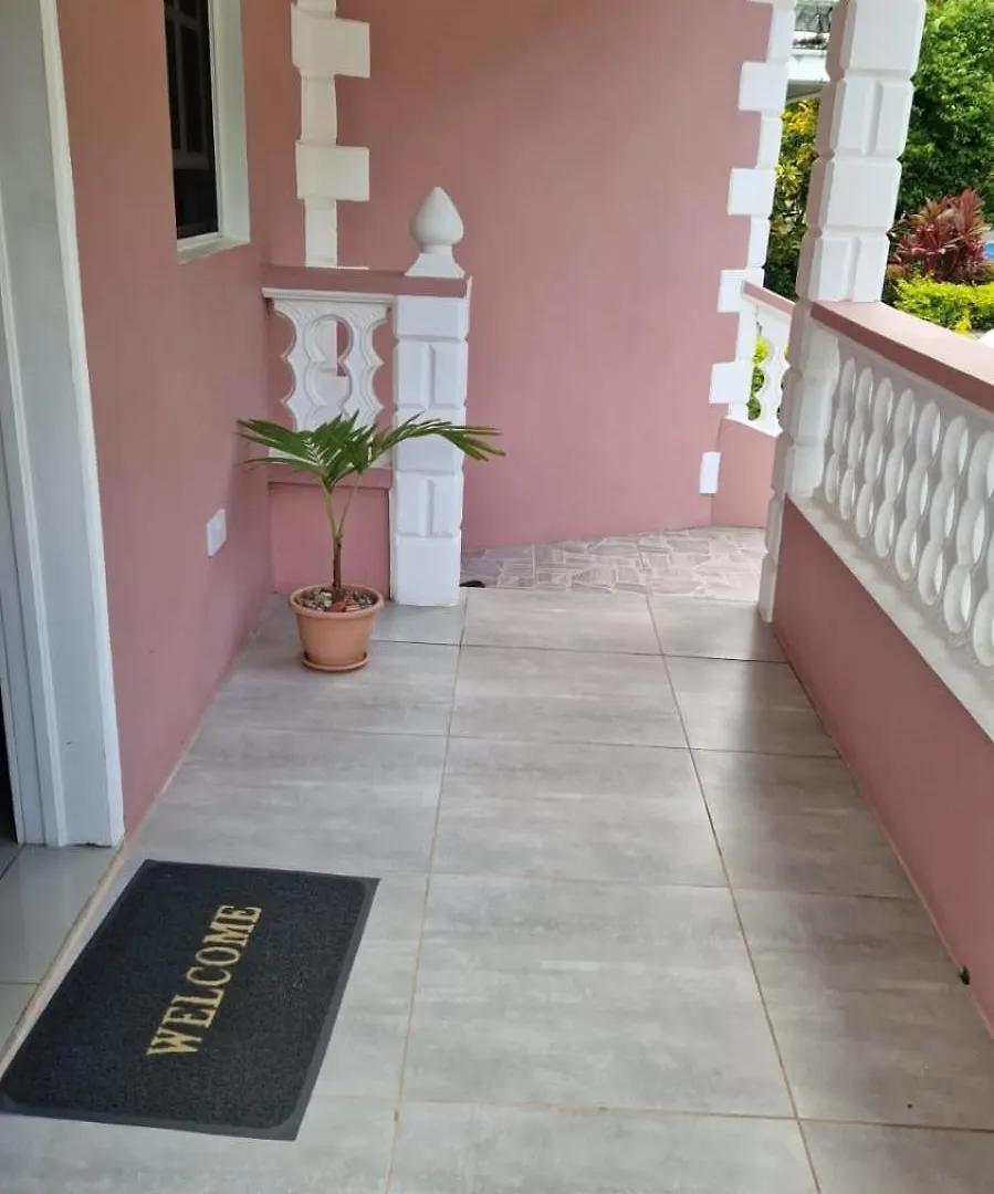 Vacation Home Roseau Holiday home